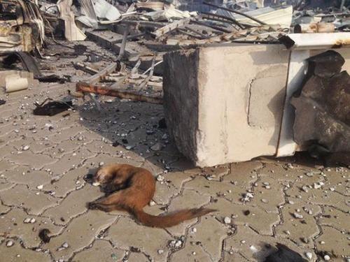 北京交通大学爆炸现场