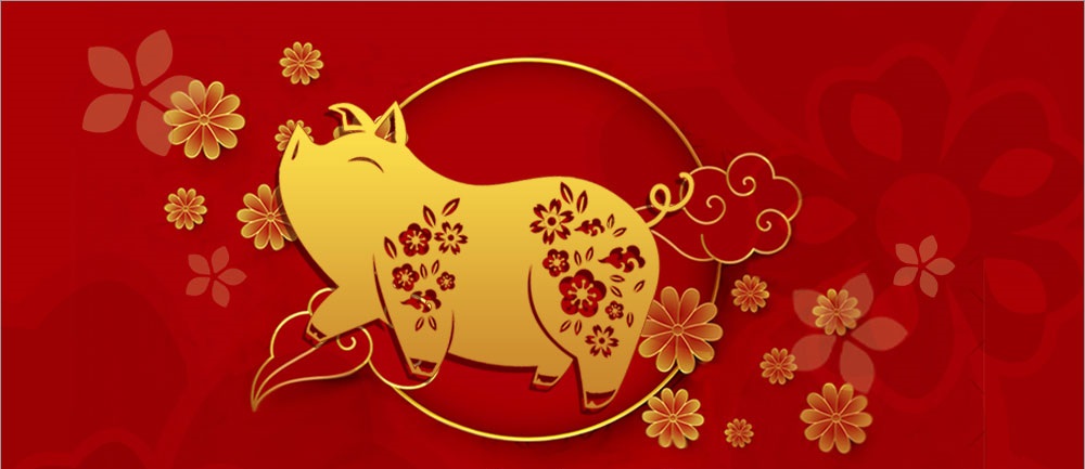 中国新年己亥年猪年